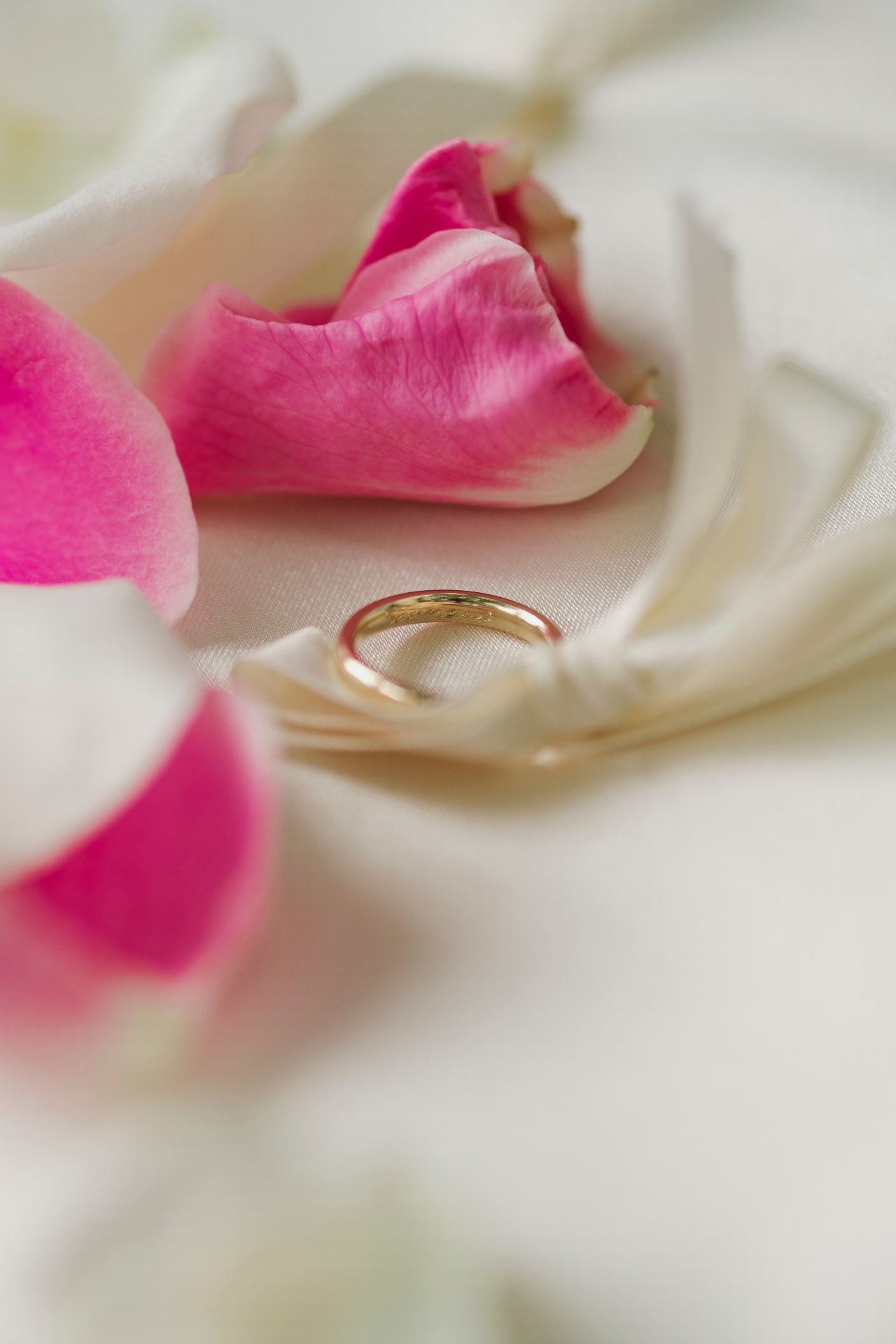 Gold wedding band nestled in pink rose petals and silk ribbon